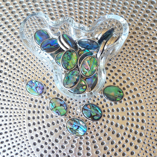 Paua-simpukka riipus