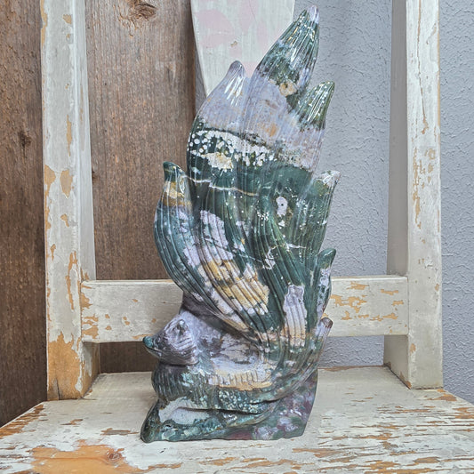 Valtamerijaspis 9-häntäinen kettu