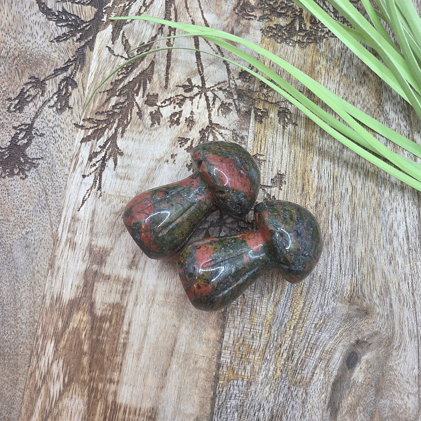 Sieni -valitse väri-