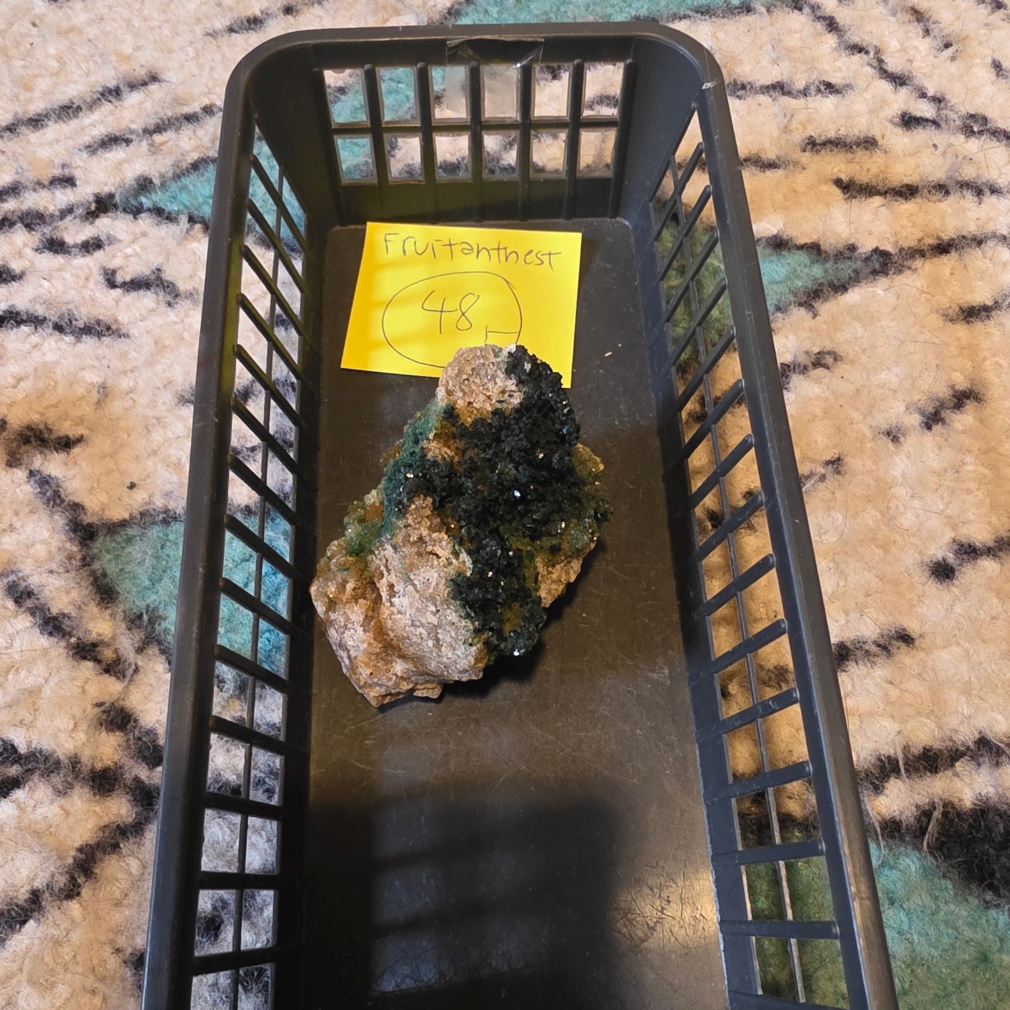 Fruitantnest