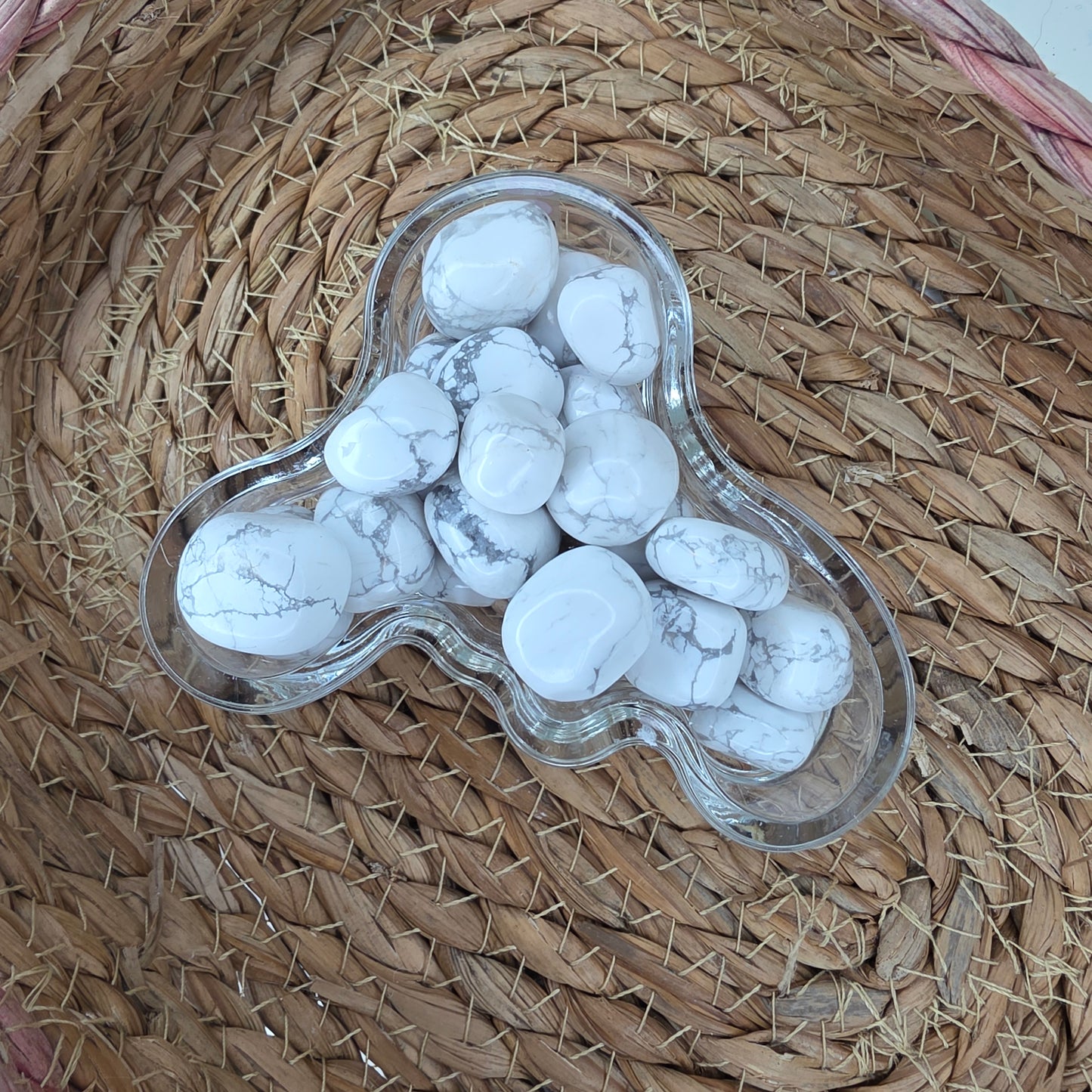 Mini howliitti rumpuhiottu