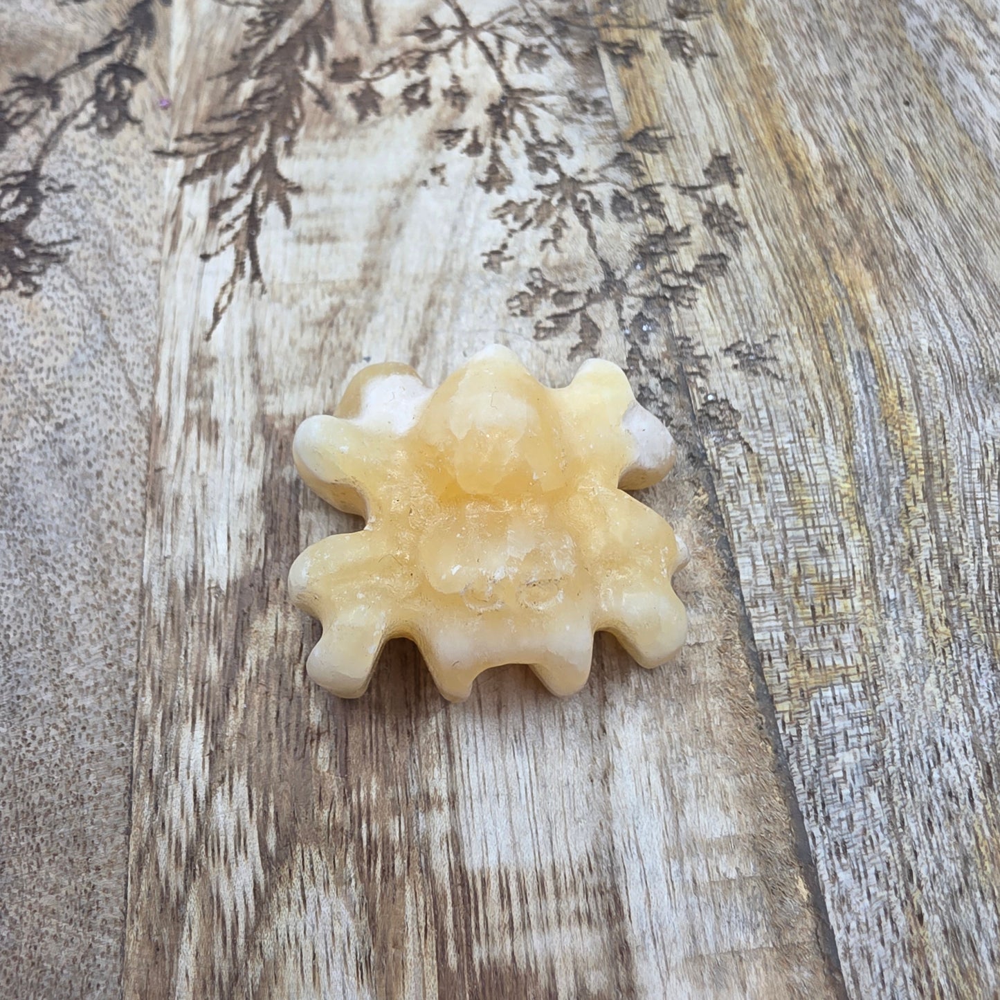 Appelsiinikalsiitti hämähäkki 2lk.