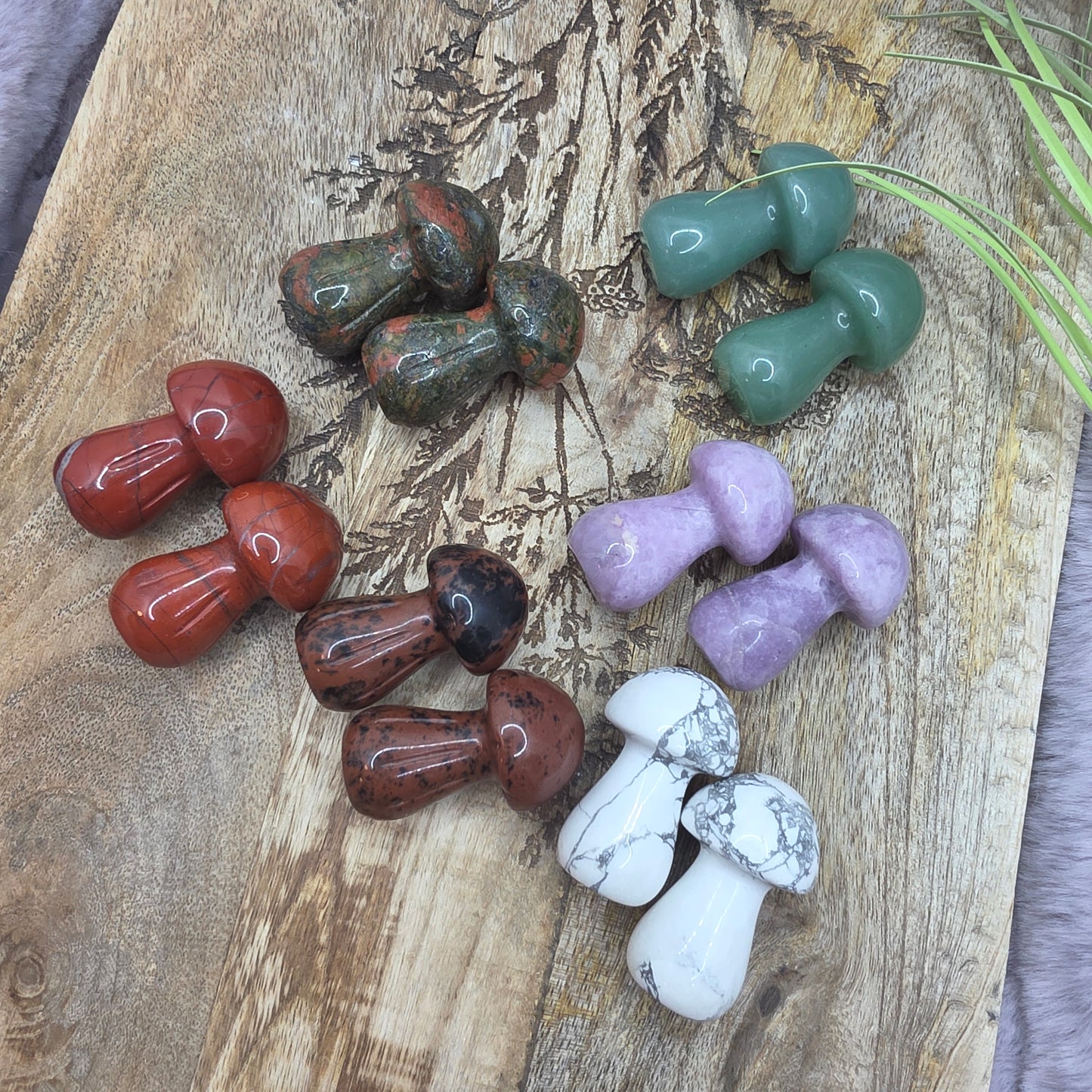 Sieni -valitse väri-