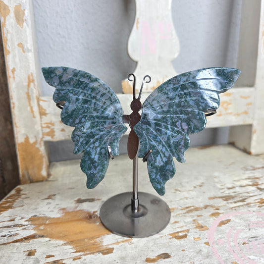 Sammalakaatti perhosensiivet telineessä