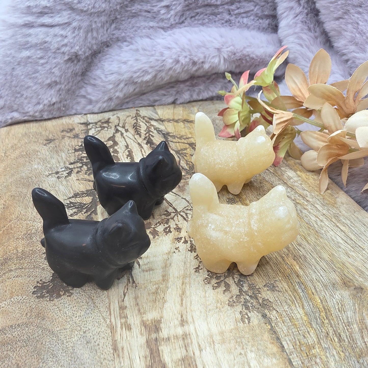 Pieni kissa -valitse väri-