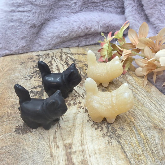 Pieni kissa -valitse väri-