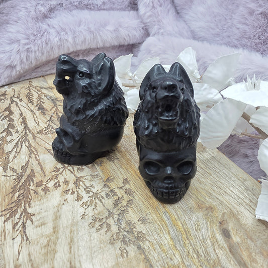 Susi/pääkallo obsidiaani