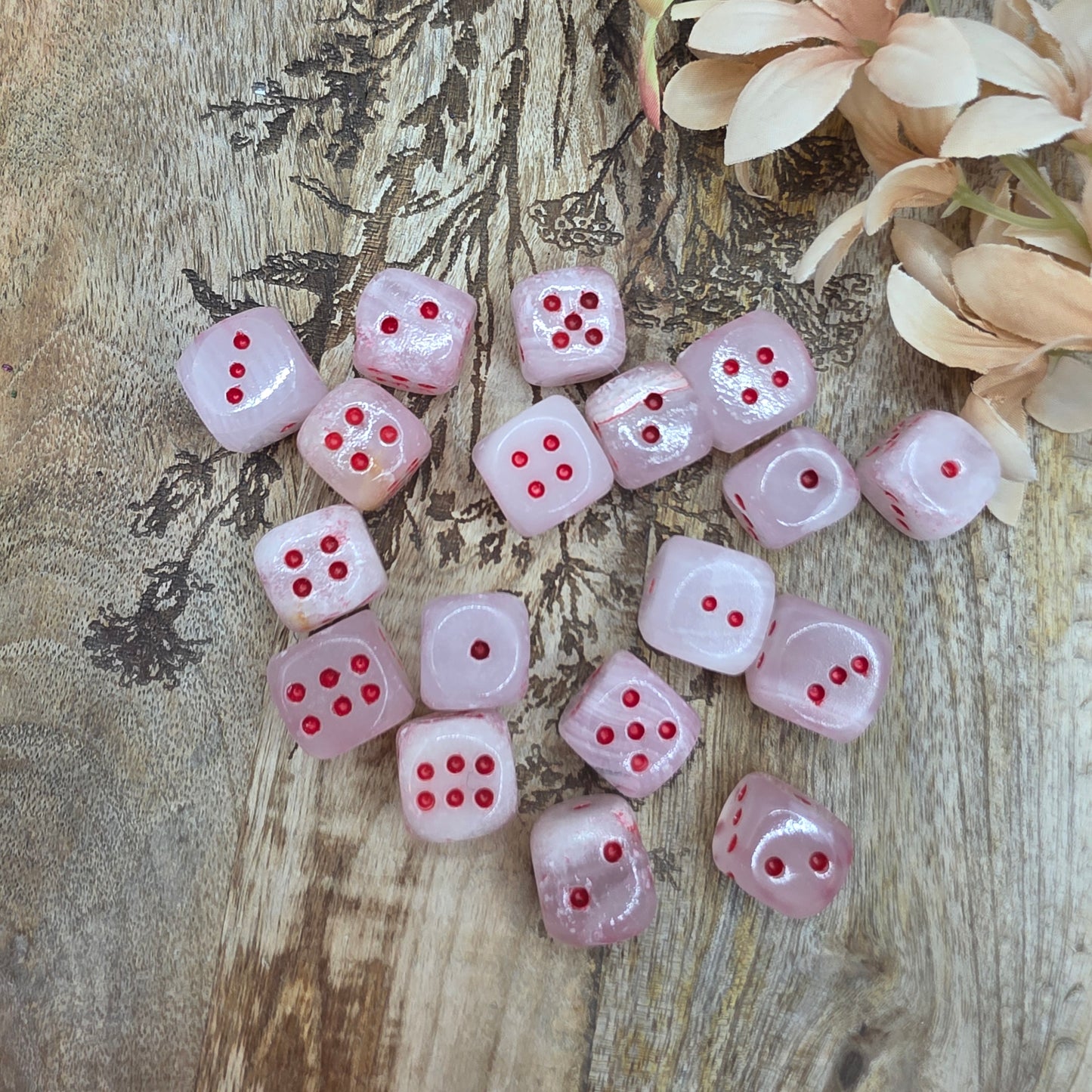 Kivinoppa -kaksi väriä-