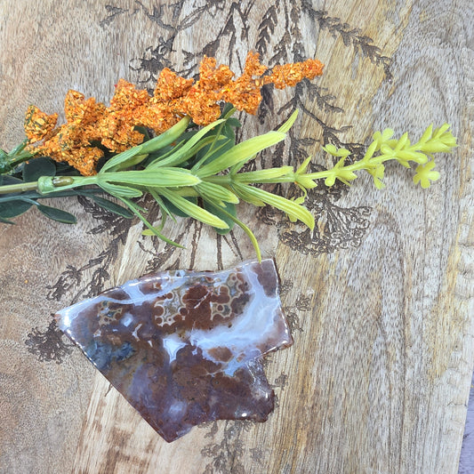 Valtamerijaspis siivu