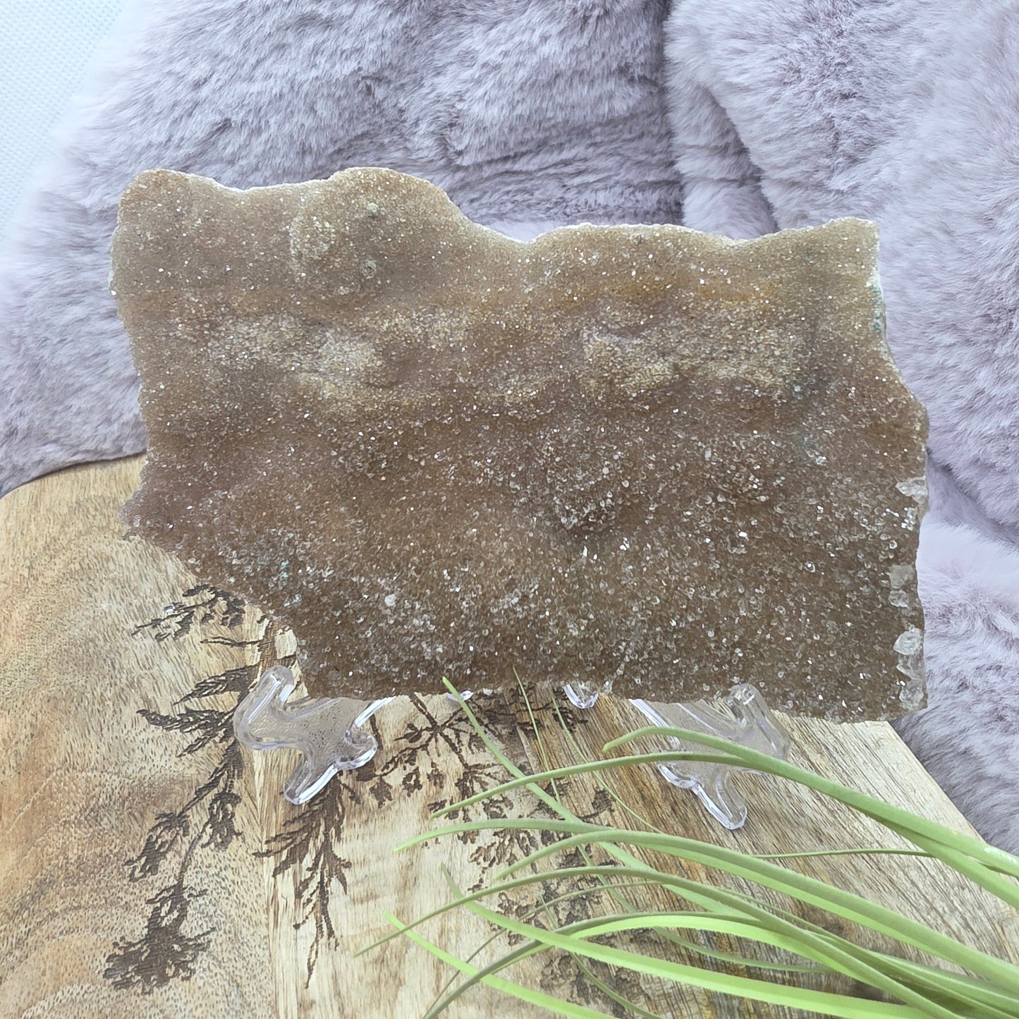 Pinkki ametisti släbi  telineessä