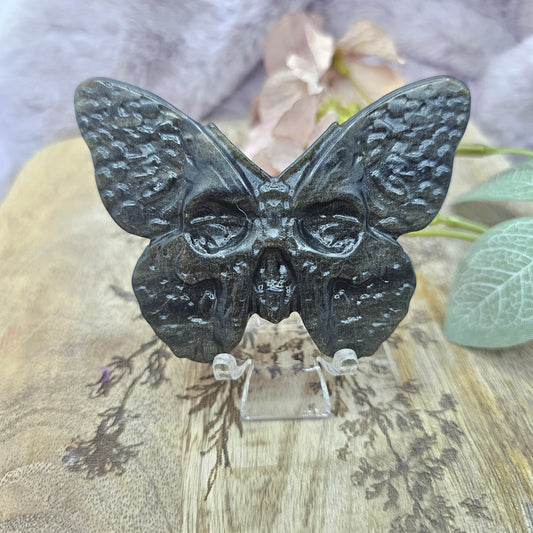 Kultaobsidiaani moth