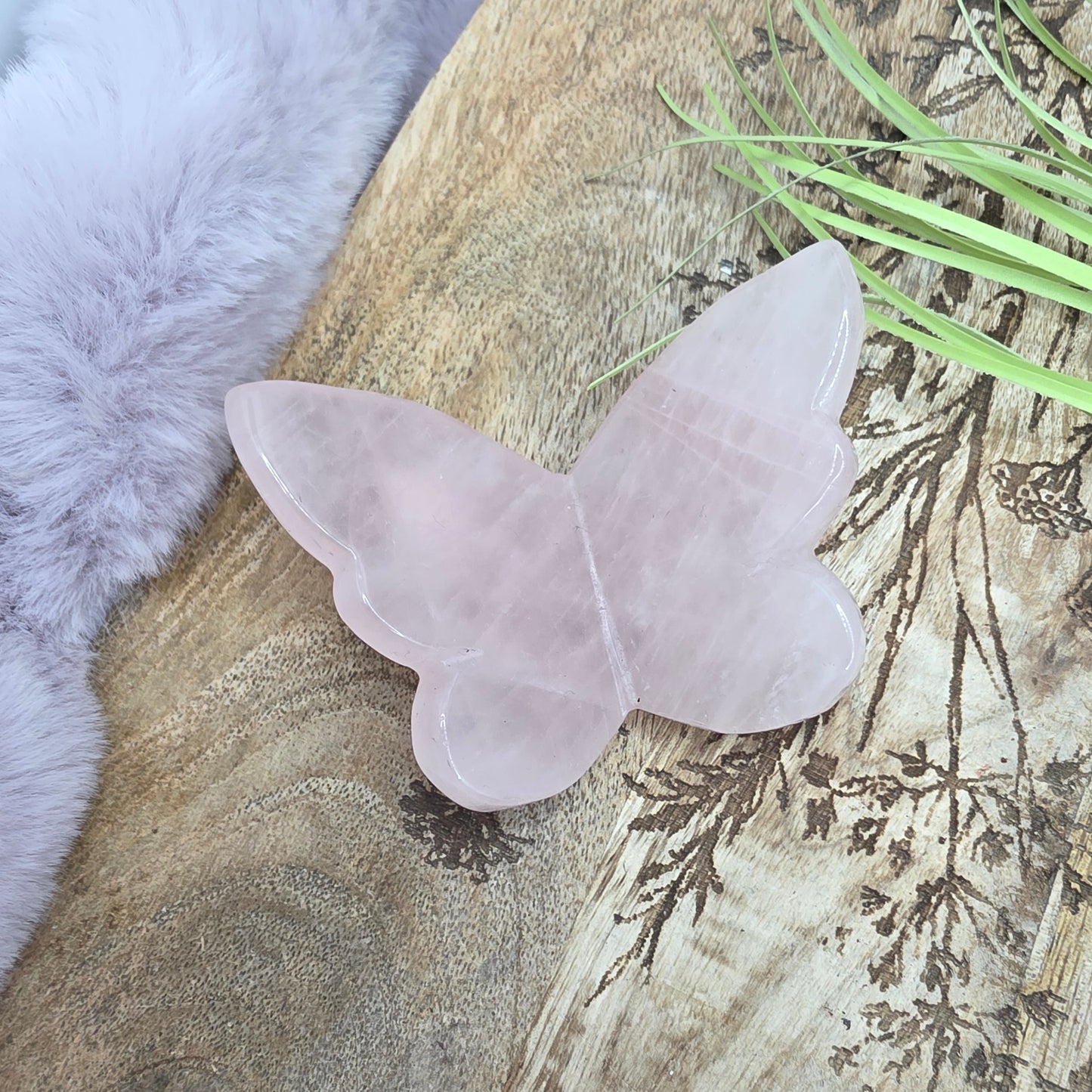 3D perhonen -eri värejä-