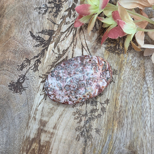 Leopardijaspis kämmenkivi