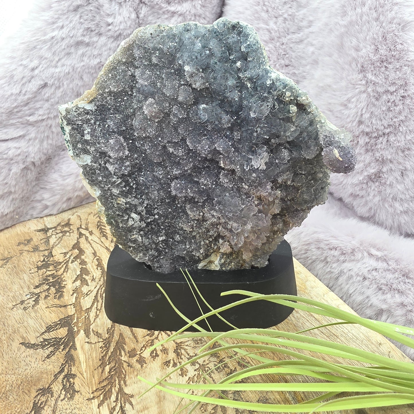 Ruusuametisti släbi telineessä nro.1