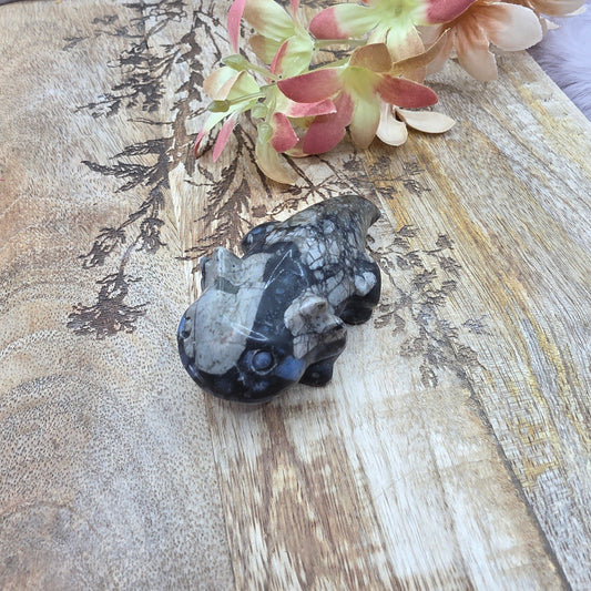 Aksolotli -Que sera-