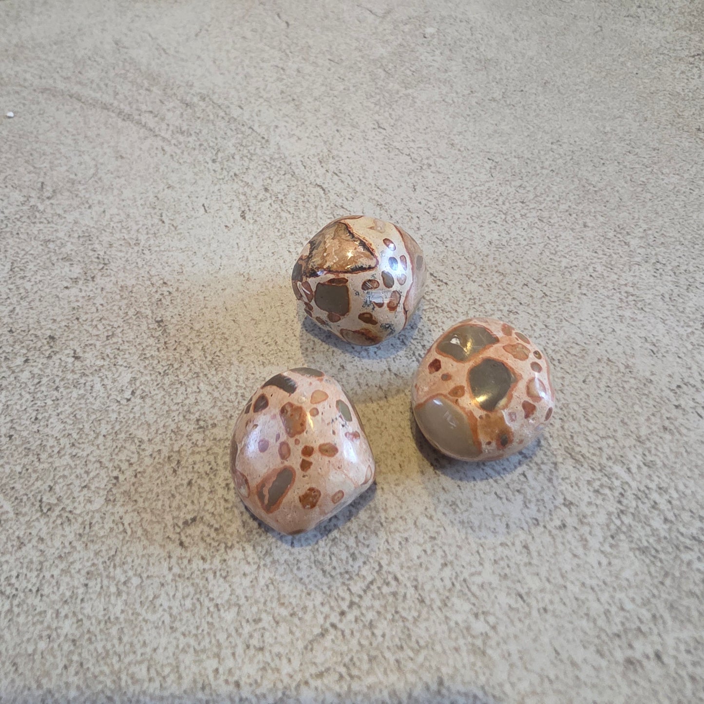 Onkoliitti rumpuhiottu