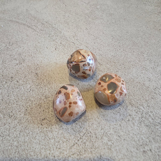 Onkoliitti rumpuhiottu