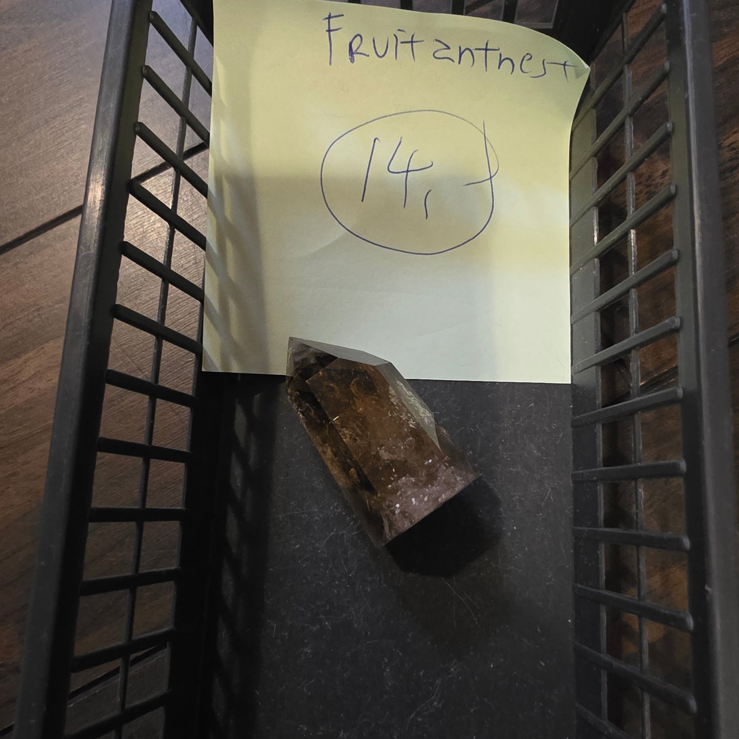 Fruitantnest