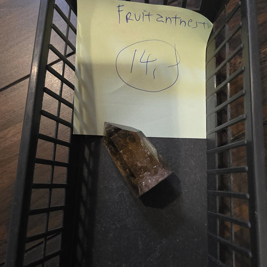 Fruitantnest