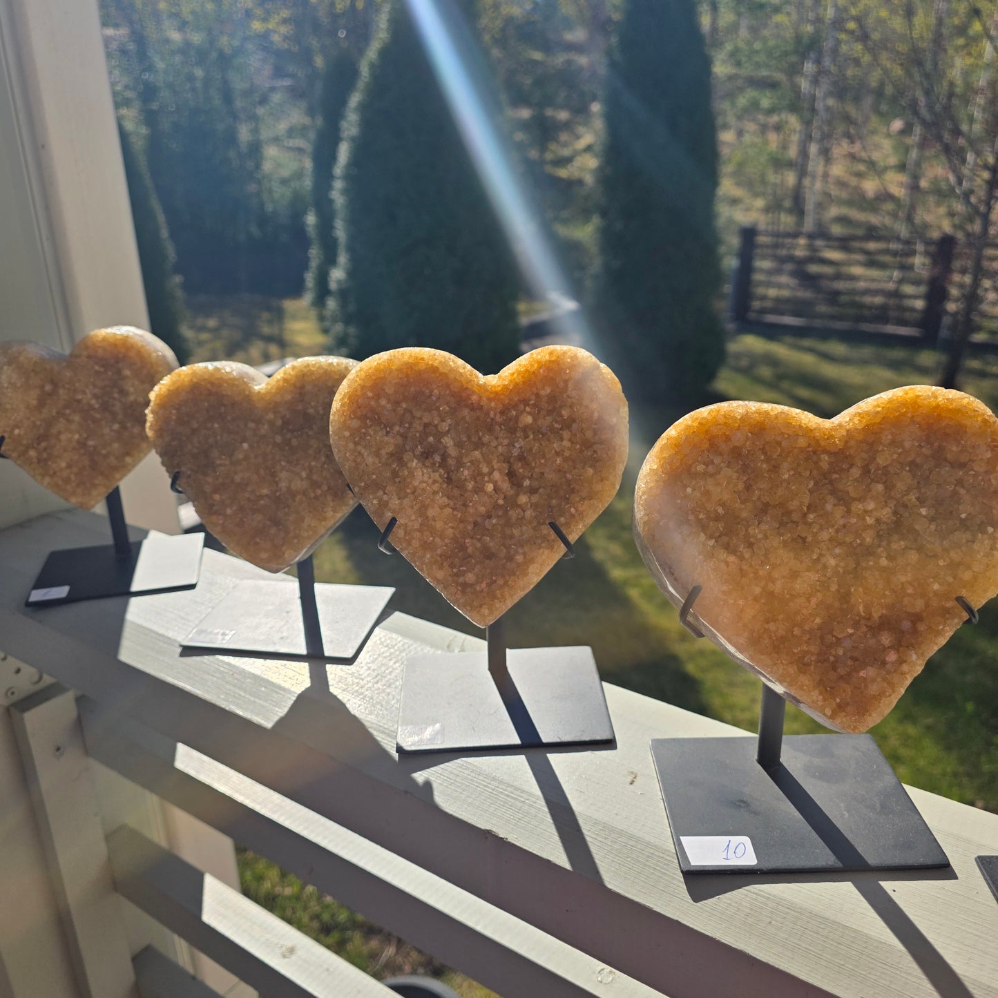 Sitriinisydän telineessä yli 1kg