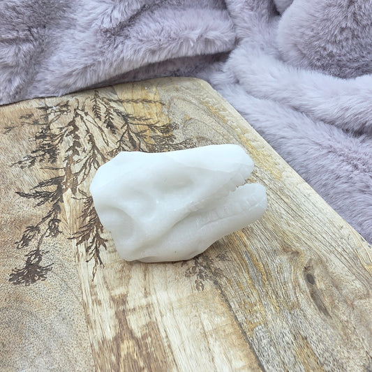 Dinokallo -kalsiitti-