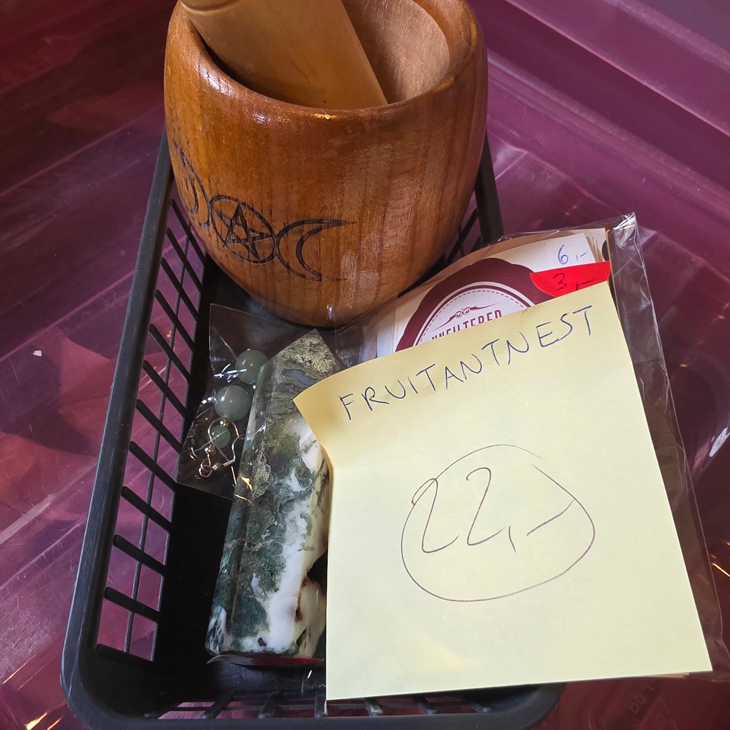 fruitantnest