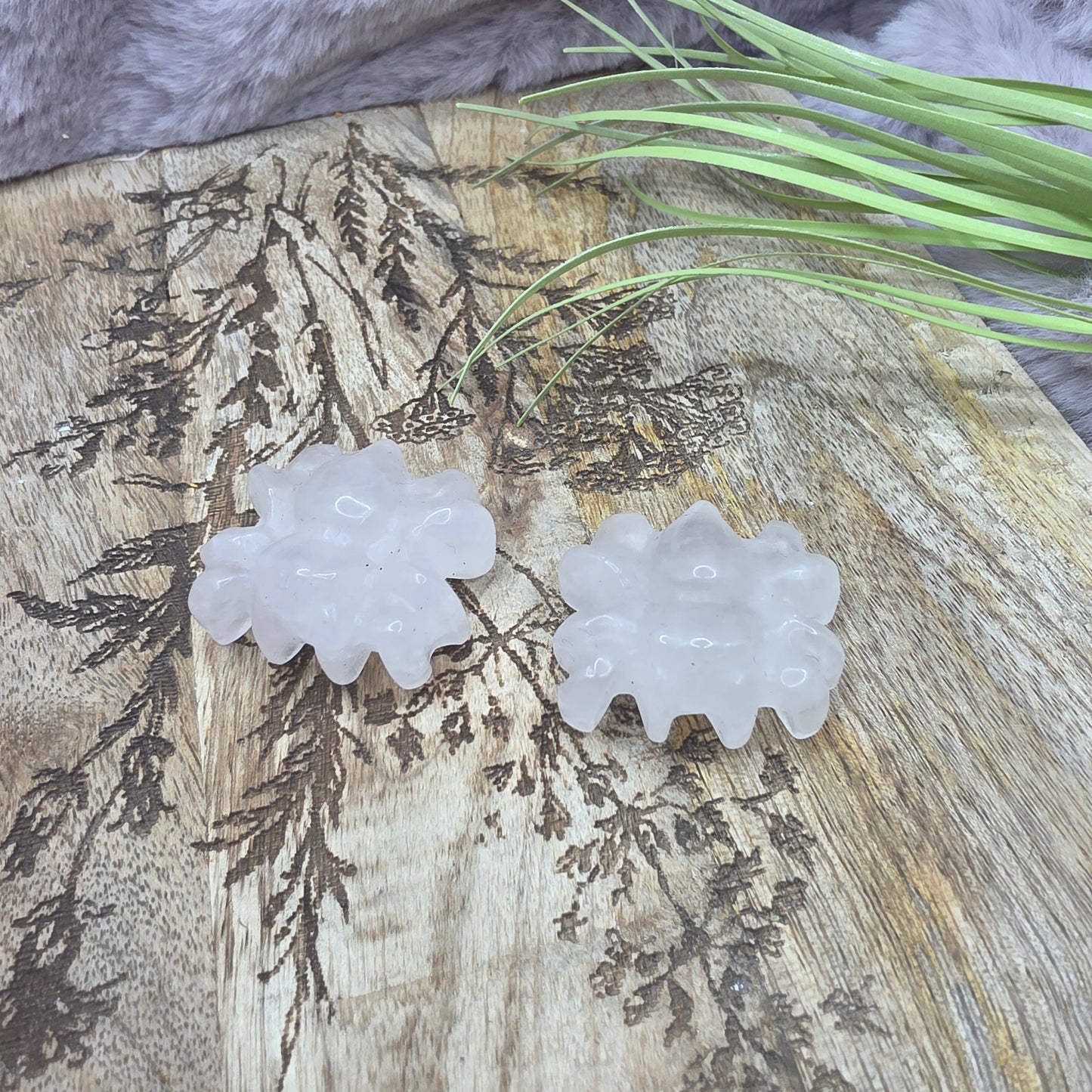 Pieni hämähäkki -valitse väri-