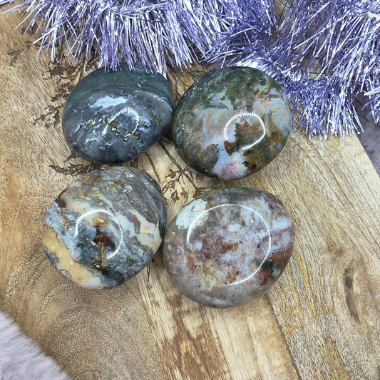 Valtamerijaspis kämmenkivi