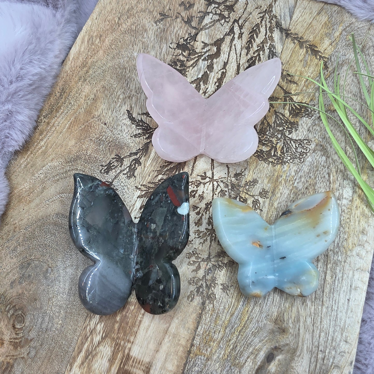 3D perhonen -eri värejä-