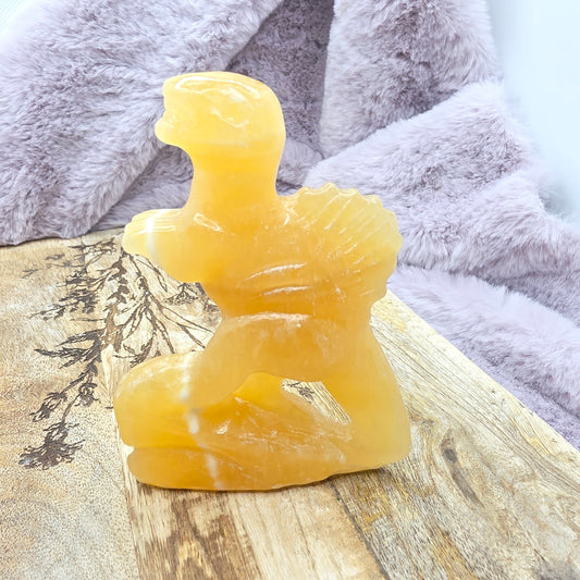 Appelsiinikalsiitti dino