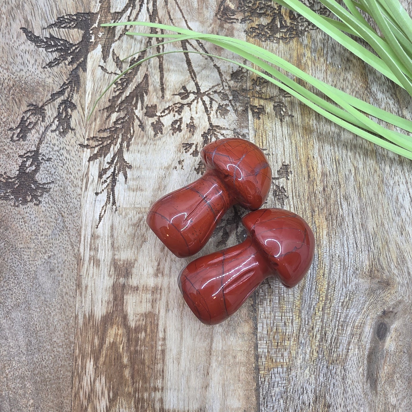 Sieni -valitse väri-