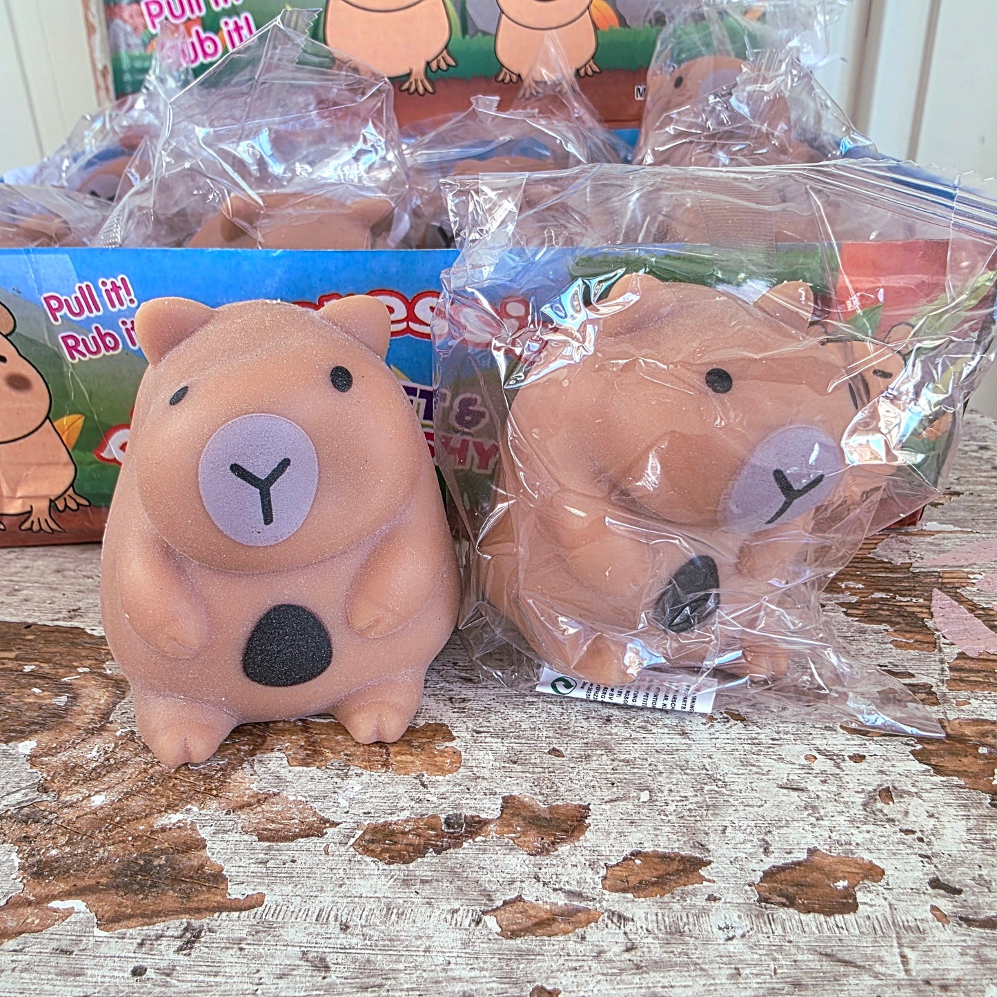 Squishy capybara