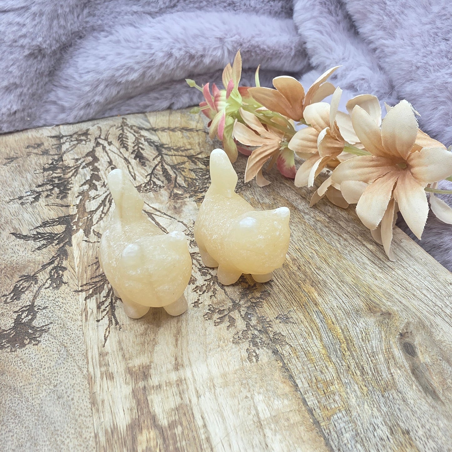 Pieni kissa -valitse väri-