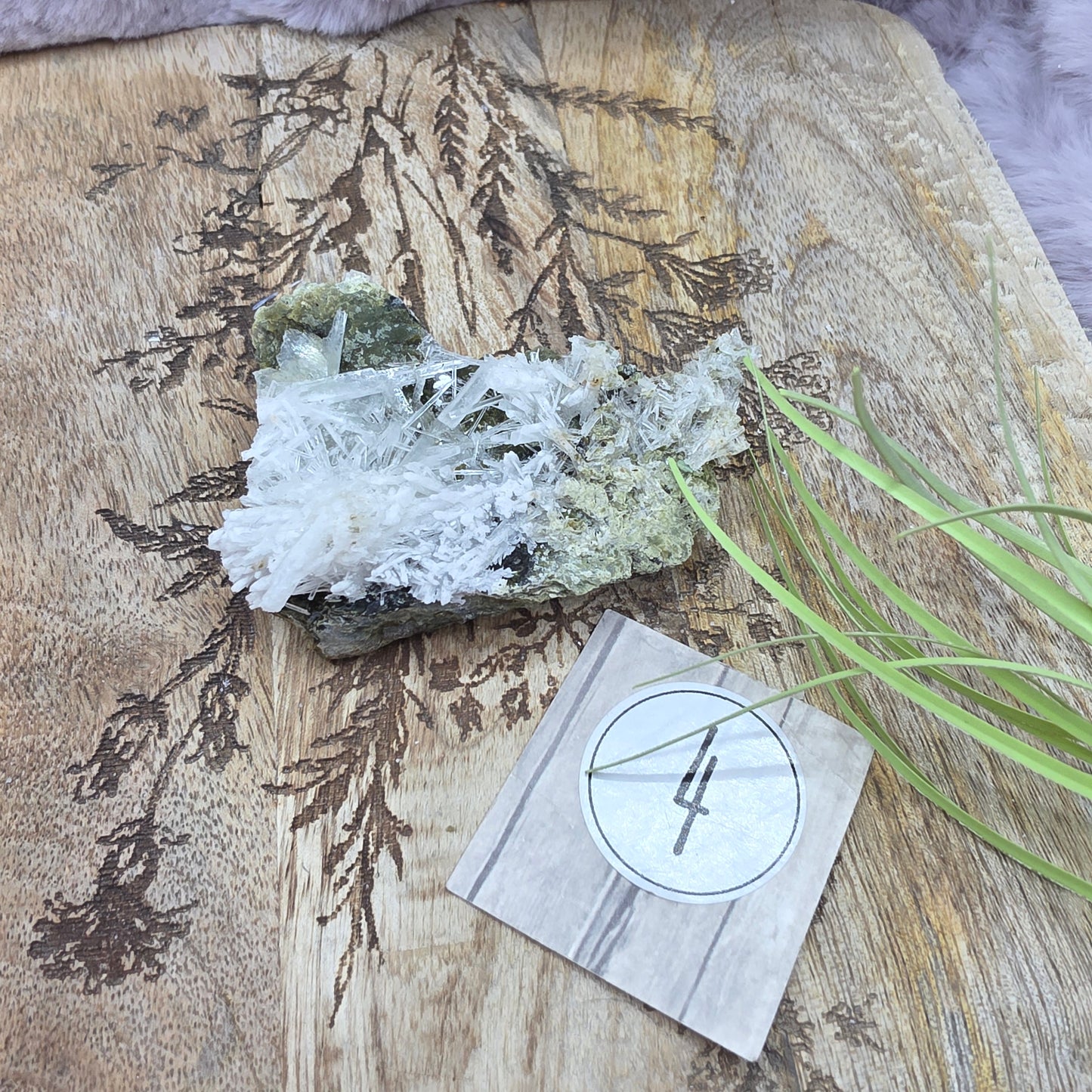 Skolesiitti/kalsiitti clusteri