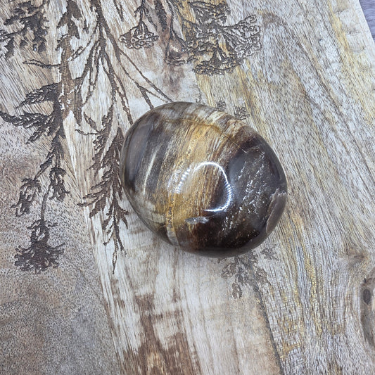 Kivettynytpuu kämmenkivi