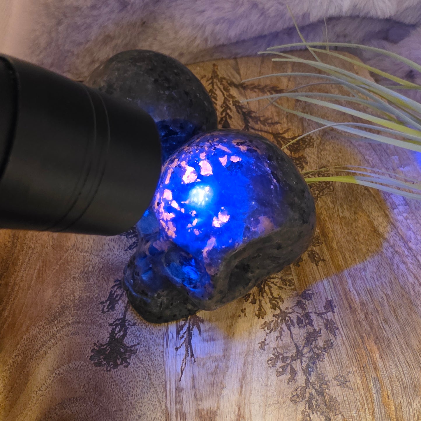 Yooperlite pääkallo (uv)