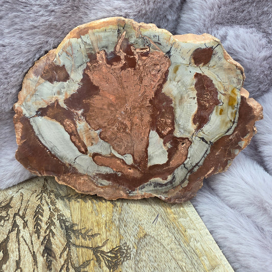 Kivettynytpuu släbi