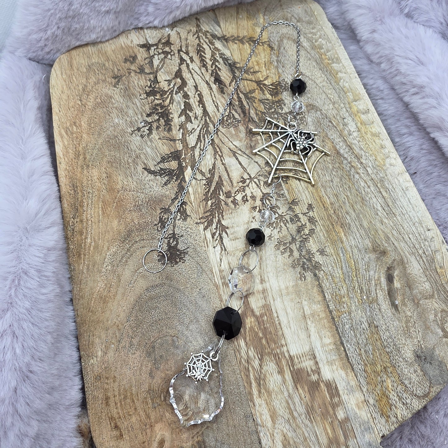 Aurinkosieppari -hämähäkki-