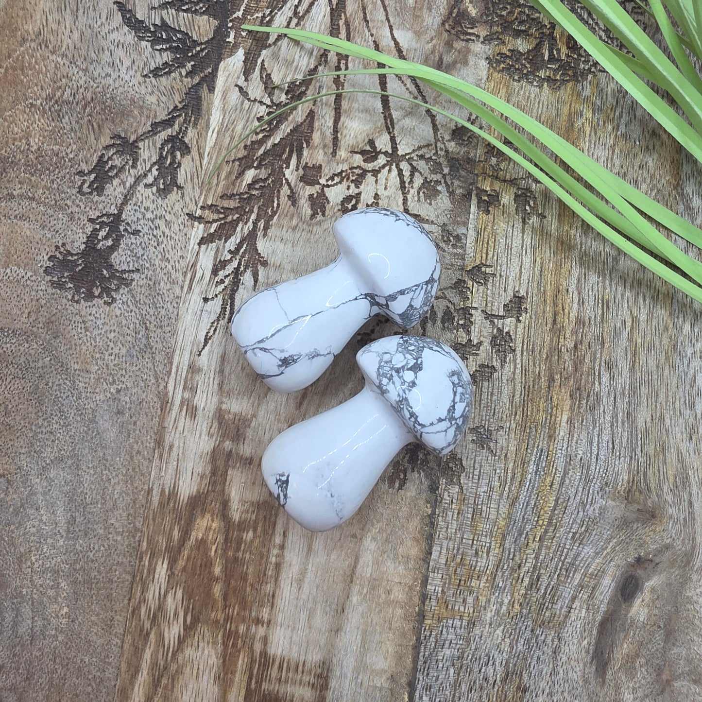 Sieni -valitse väri-