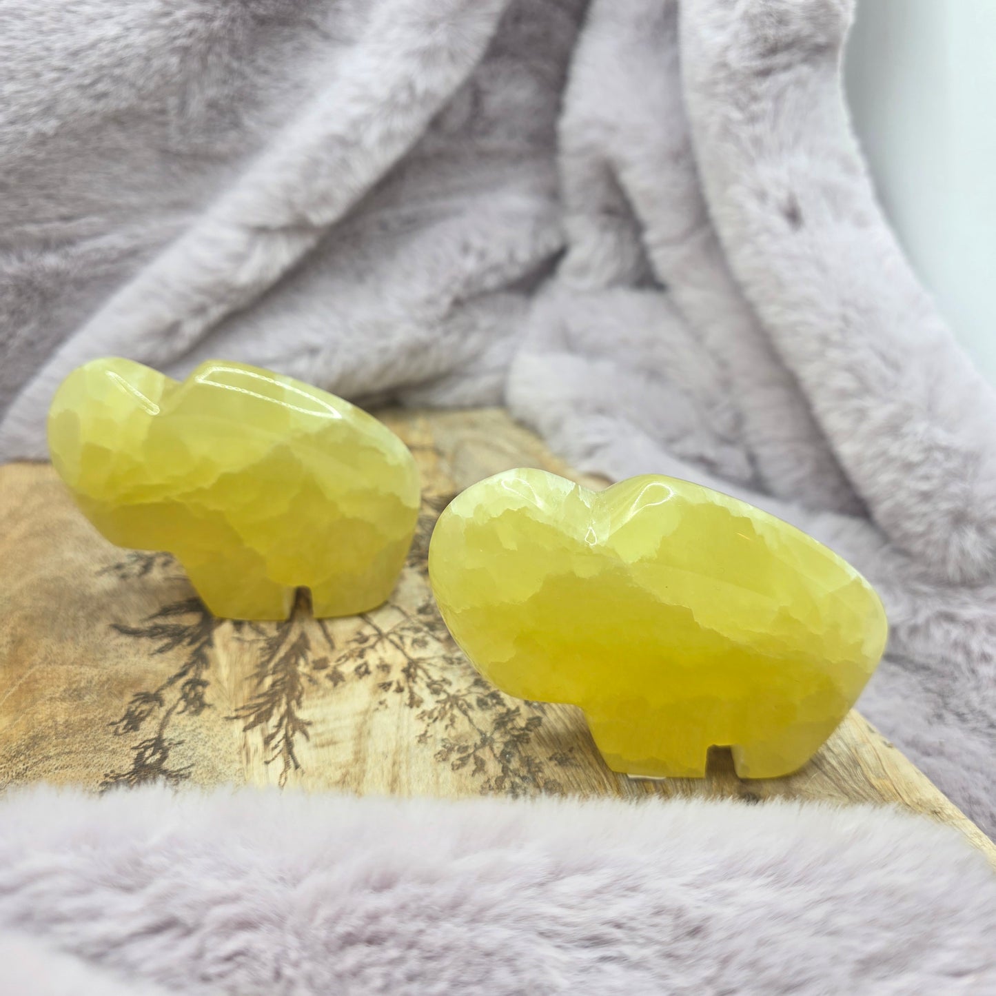 Puhveli -sitruunakalsiitti-