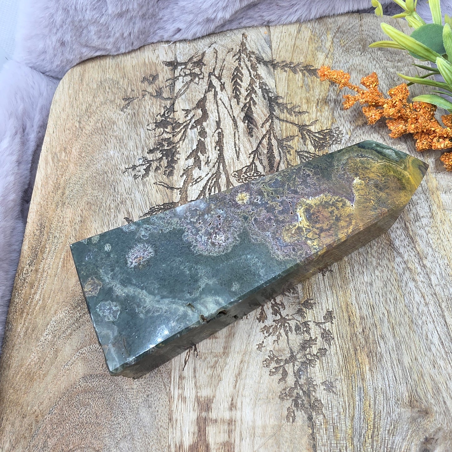 Valtamerijaspis torni