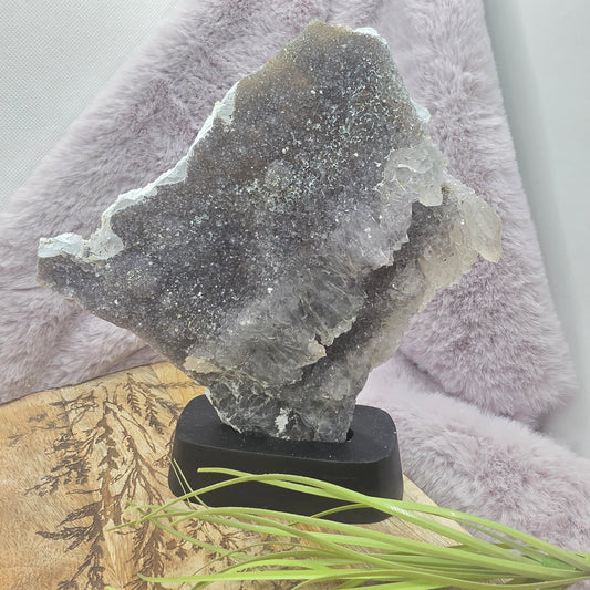 Ruusuametisti släbi telineessä nro.2