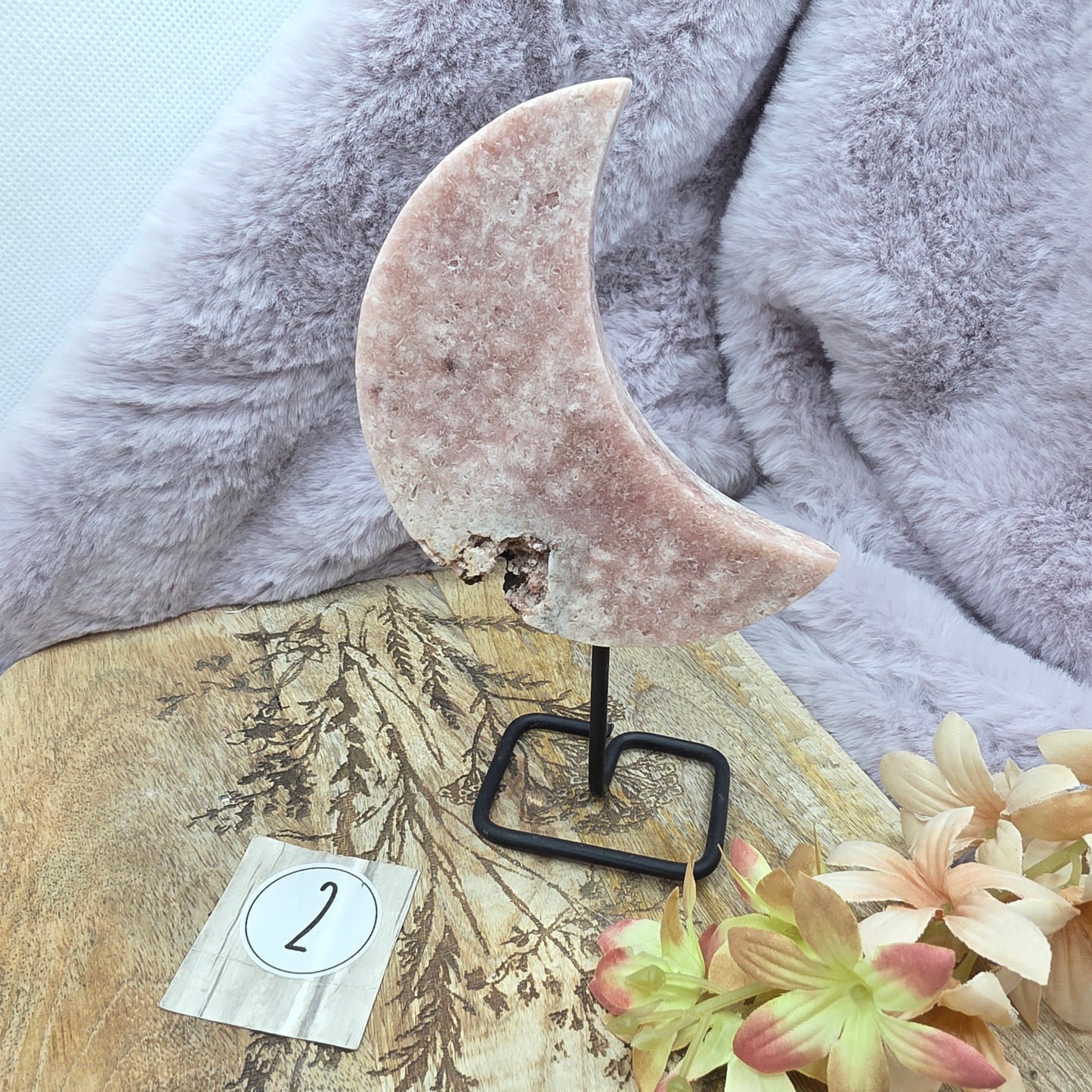 Pinkki amatistikuu telineessä