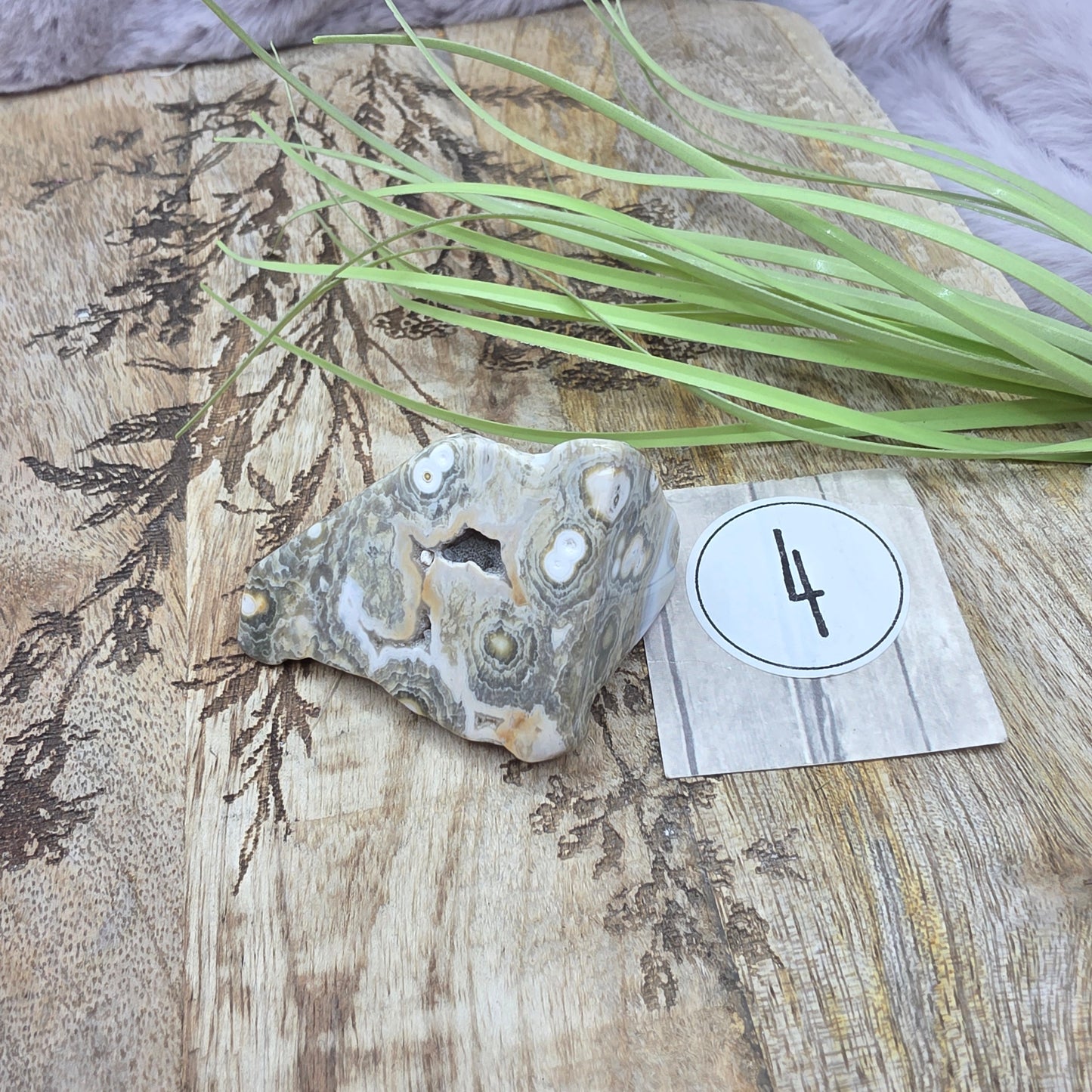 8th Vein-valtamerijaspis freeform