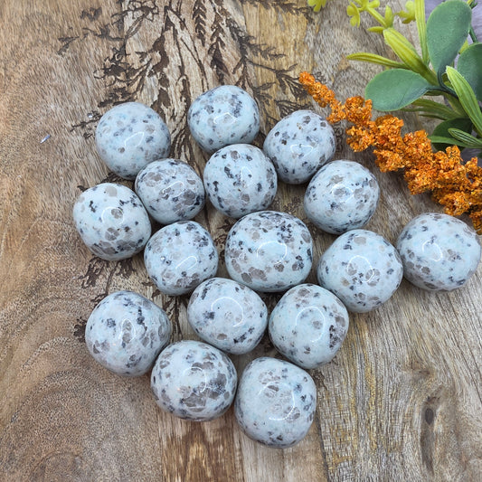 Kiwi-jaspis rumpuhiottu