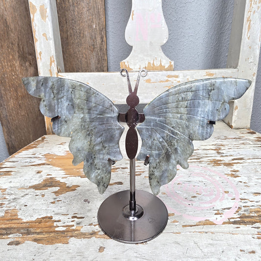 Labradoriitti siivet telineessä