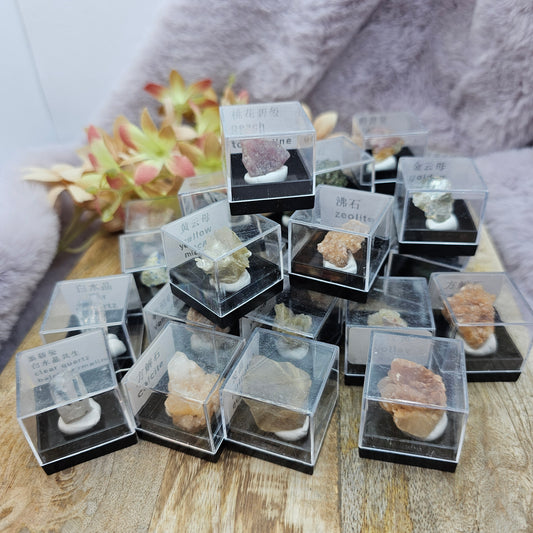 Specimen box 5kpl bundle