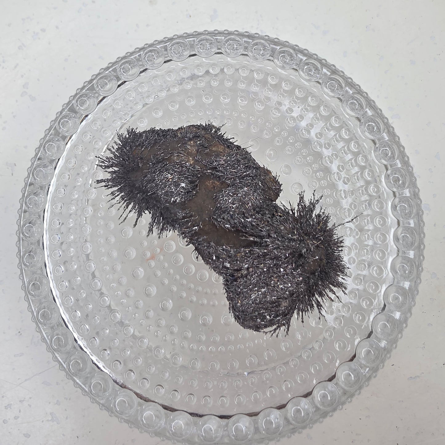 Magnetiitti specimen
